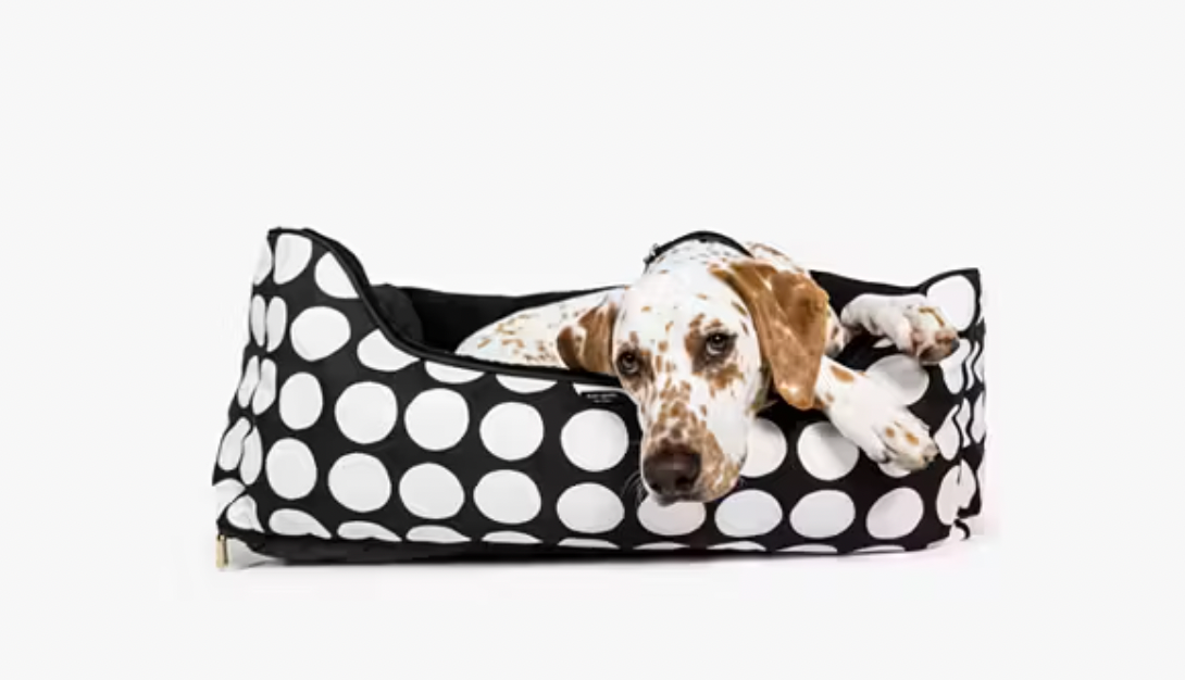 kate spade犬用ペットベッド Amazon Is Selling a $40 Dog Bed That Gives Total 'Kate Spade